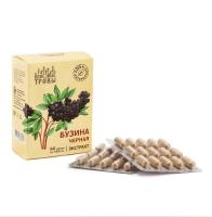 Бузина