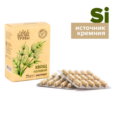 Хвощ полевой