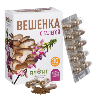 ВЕШЕНКА с ГАЛЕГОЙ