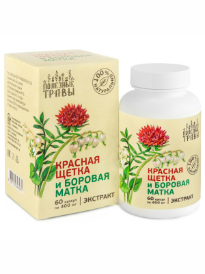Красная щетка и боровая матка